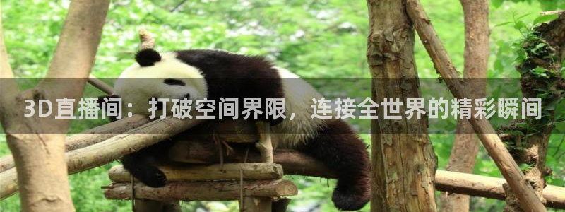 龙门足球直播：3D直播间：打破空间界限，连接全世界的精彩瞬间