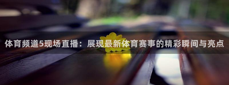 nba直播免费观看直播在线龙门：体育频道5现场直播：展现最新体育赛事的精彩瞬间与亮点