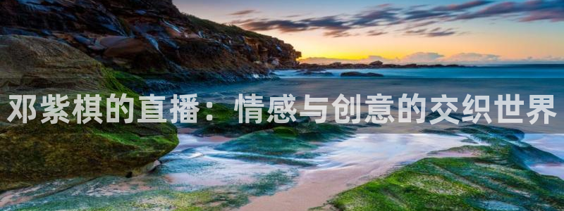龙门直播nba：邓紫棋的直播：情感与创意的交织世界