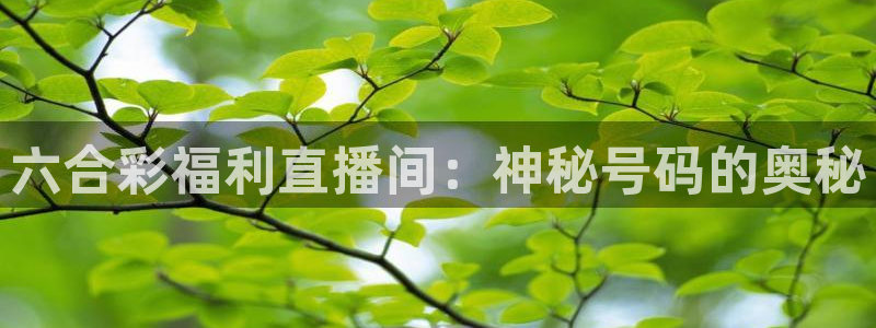 龙门直播app体育：六合彩福利直播间：神秘号码的奥秘