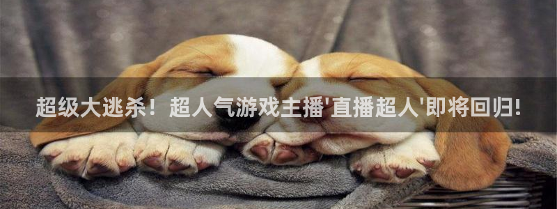 龙门镖局直播