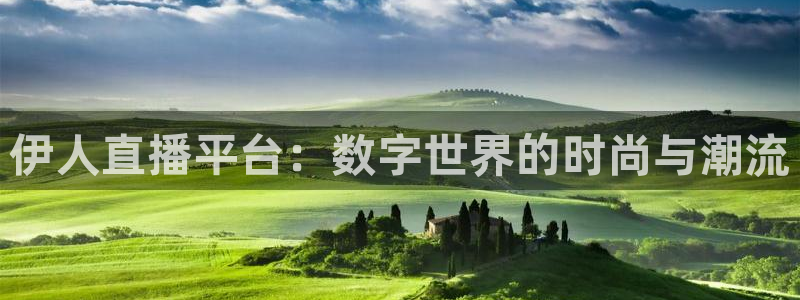 龙门体育直播