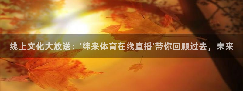 龙门体育直播免费观看