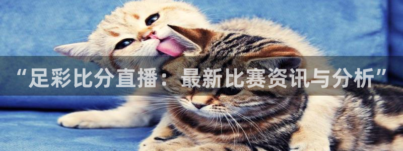 下载龙门体育直播