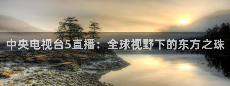 178直播比赛在线观看龙门：中央电视台5直播：全球视野下的东方之珠