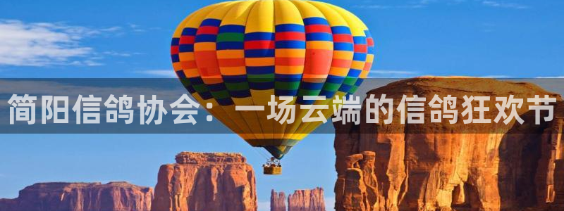 龙门直播nba免费直播入口：简阳信鸽协会：一场云端的信鸽狂欢节