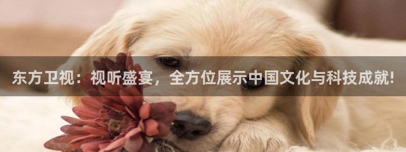 nba龙门直播：东方卫视：视听盛宴，全方位展示中国文化与科技成就!