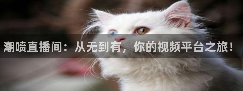 看球直播龙门直播