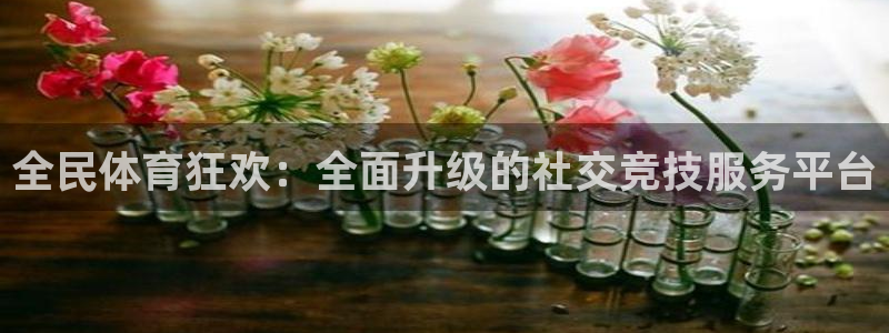 龙门飞甲播放：全民体育狂欢：全面升级的社交竞技服务平台